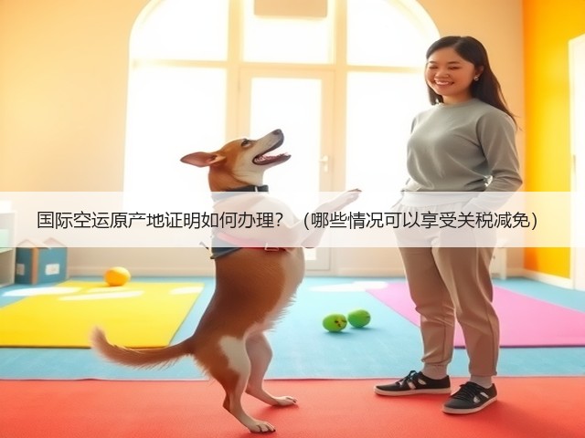 国际空运原产地证明如何办理?(哪些情况可以享受关税减免)(图1) 国际空运原产地证明如何办理?(哪些情况可以享受关税减免)(图1)