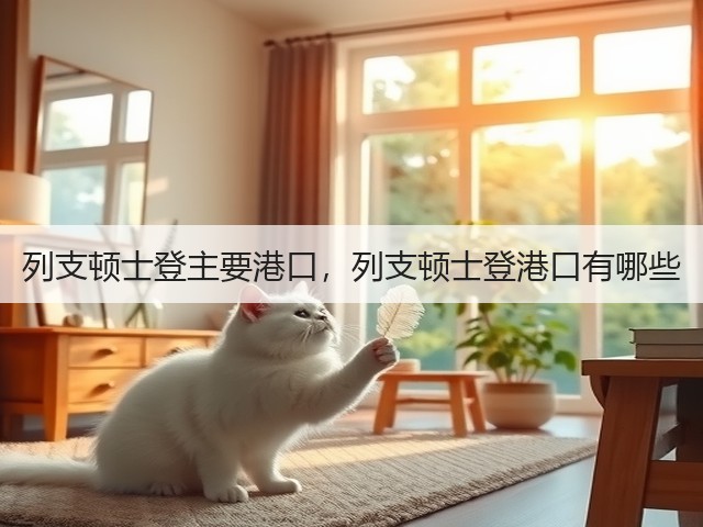 列支顿士登主要港口,列支顿士登港口有哪些(图3) 列支顿士登主要港口,列支顿士登港口有哪些(图3)