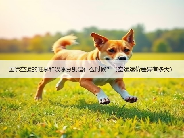 国际空运的旺季和淡季分别是什么时候？（空运运价差异有多大）(图1)