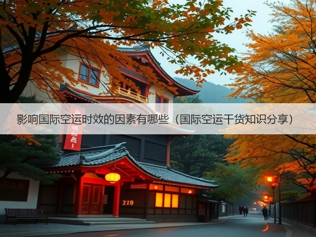 影响国际空运时效的因素有哪些（国际空运干货知识分享）(图3)