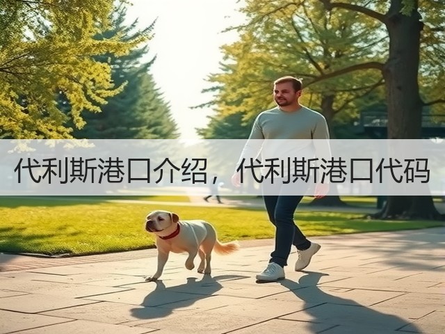 代利斯港口介绍，代利斯港口代码(图1)