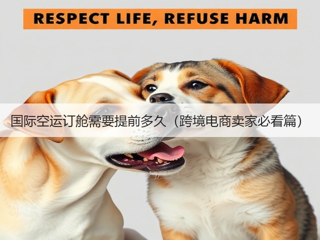 国际空运订舱需要提前多久(跨境电商卖家必看篇)(图3) 国际空运订舱需要提前多久(跨境电商卖家必看篇)(图3)