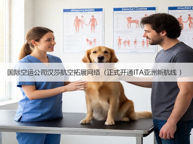 国际空运公司汉莎航空拓展网络(正式开通ITA亚洲新航线 )(图2) 国际空运公司汉莎航空拓展网络(正式开通ITA亚洲新航线 )(图2)