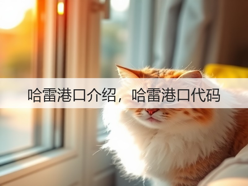 哈雷港口介绍，哈雷港口代码