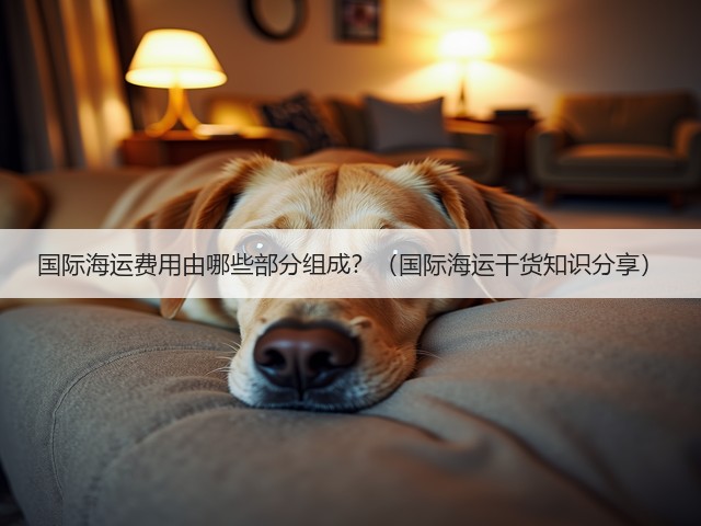 国际海运费用由哪些部分组成？（国际海运干货知识分享）(图3)