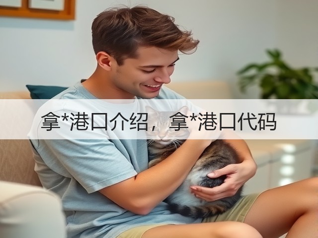 拿*港口介绍，拿*港口代码(图1)