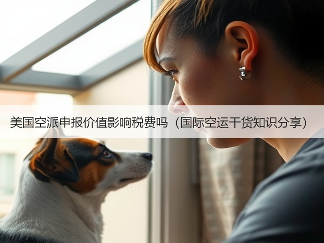 美国空派申报价值影响税费吗（国际空运干货知识分享）(图3)