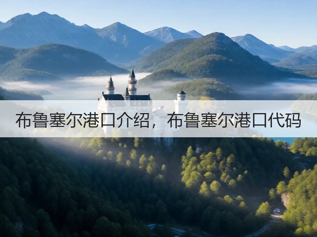 布鲁塞尔港口介绍，布鲁塞尔港口代码(图3)