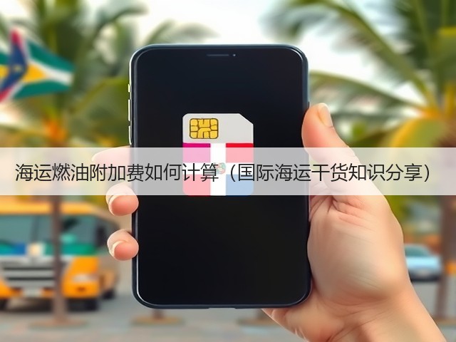 海运燃油附加费如何计算(国际海运干货知识分享)(图3) 海运燃油附加费如何计算(国际海运干货知识分享)(图3)