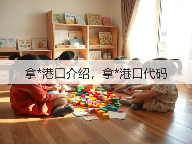 拿*港口介绍，拿*港口代码(图3)