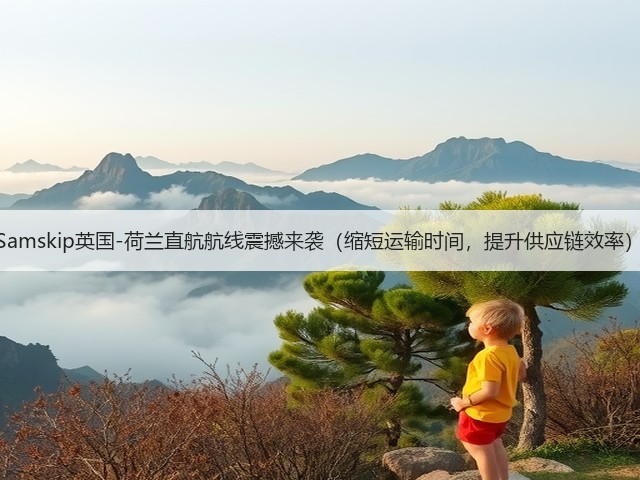 Samskip英国-荷兰直航航线震撼来袭（缩短运输时间，提升供应链效率）(图3)