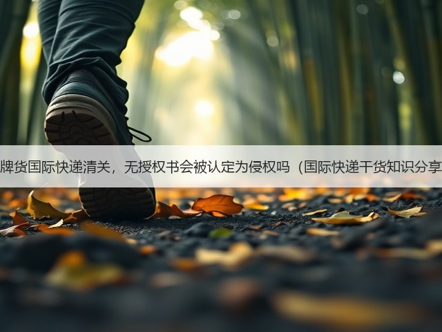 品牌货国际快递清关,无授权书会被认定为侵权吗(国际快递干货知识分享)(图3) 品牌货国际快递清关,无授权书会被认定为侵权吗(国际快递干货知识分享)(图3)