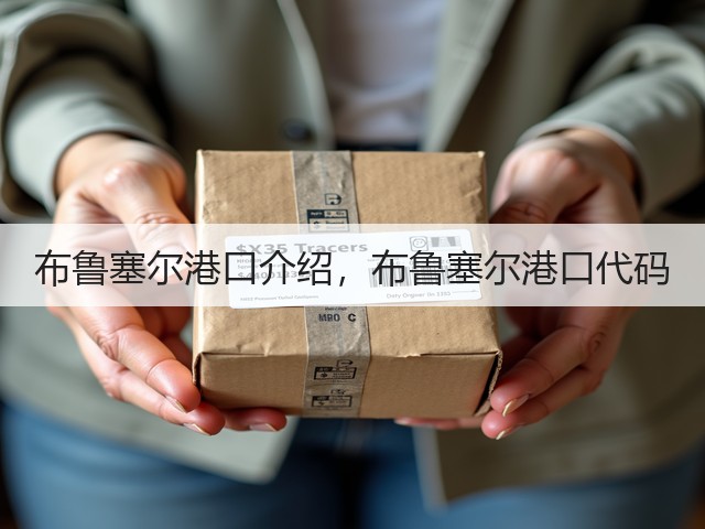 布鲁塞尔港口介绍，布鲁塞尔港口代码(图2)