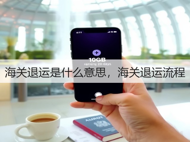 海关退运是什么意思，海关退运流程(图3)