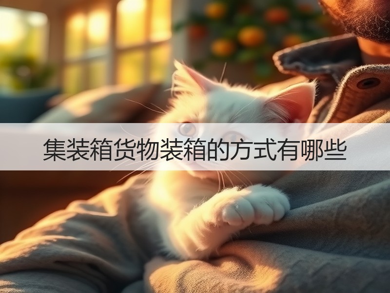 集装箱货物装箱的方式有哪些 集装箱货物装箱的方式有哪些