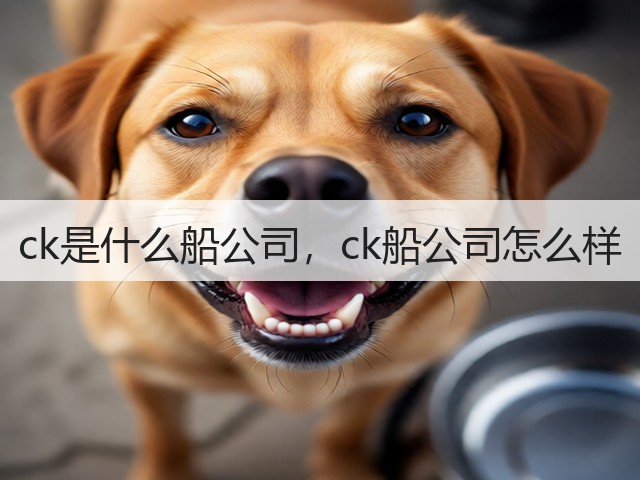 ck是什么船公司，ck船公司怎么样(图3)