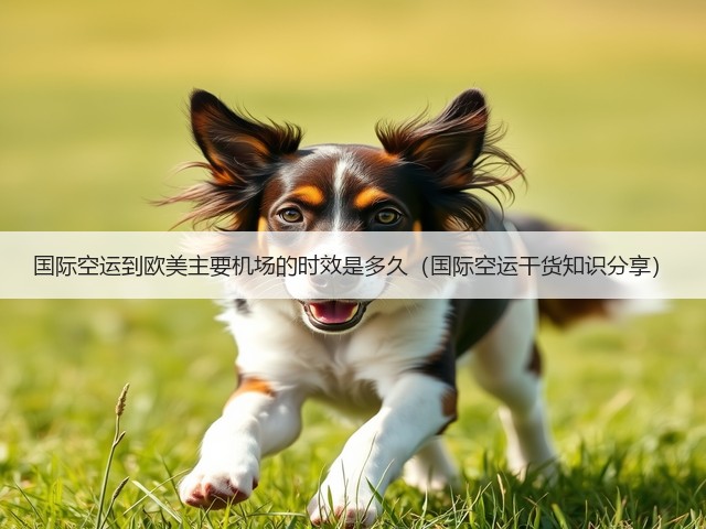 国际空运到欧美主要机场的时效是多久（国际空运干货知识分享）(图3)
