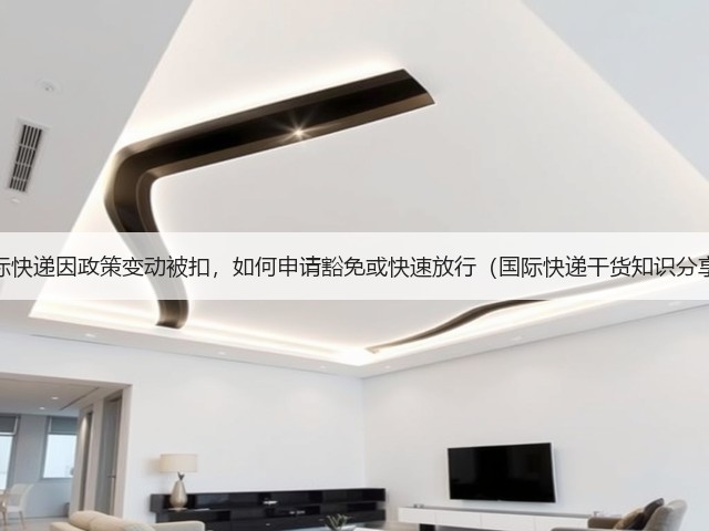 国际快递因政策变动被扣，如何申请豁免或快速放行（国际快递干货知识分享）(图3)
