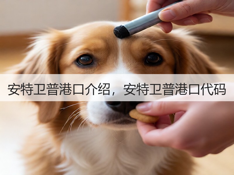 安特卫普港口介绍，安特卫普港口代码