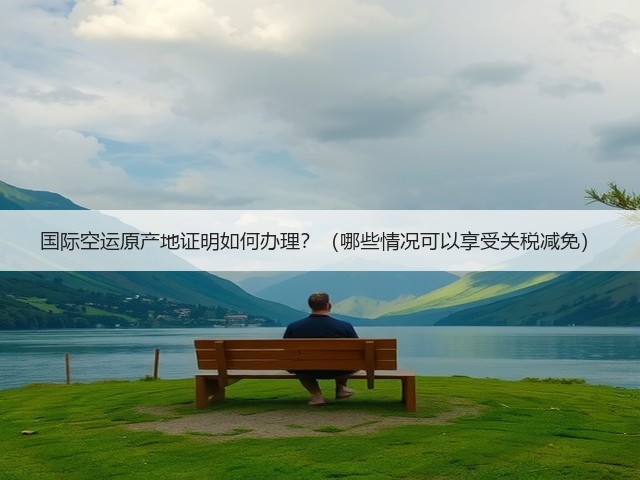 国际空运原产地证明如何办理?(哪些情况可以享受关税减免)(图3) 国际空运原产地证明如何办理?(哪些情况可以享受关税减免)(图3)