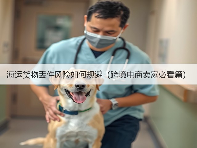 海运货物丢件风险如何规避（跨境电商卖家必看篇）(图1)