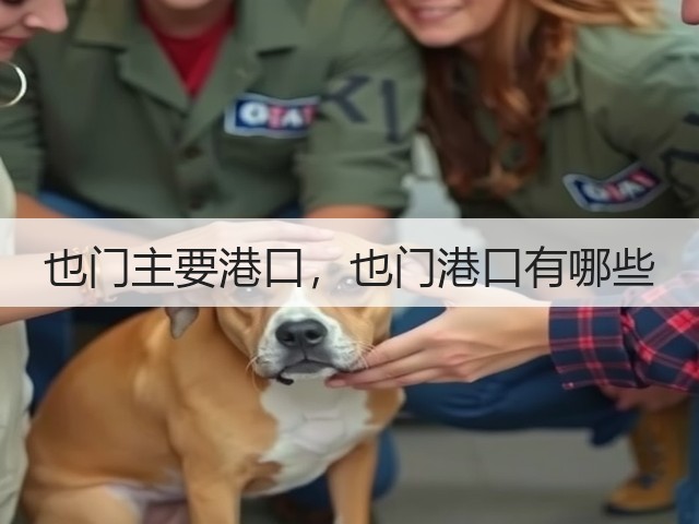 也门主要港口，也门港口有哪些(图2)