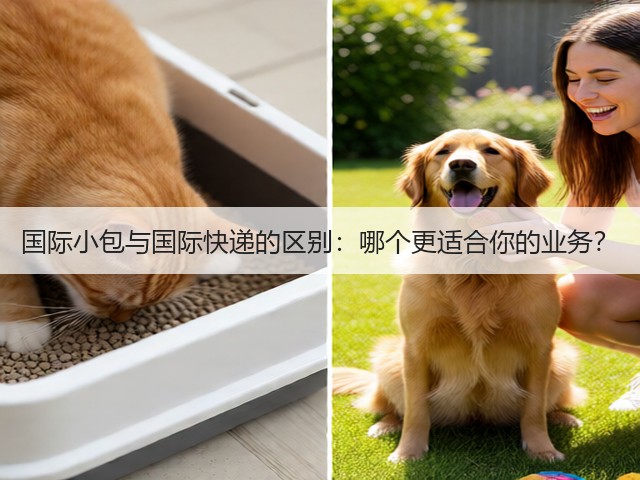 国际小包与国际快递的区别：哪个更适合你的业务？(图3)