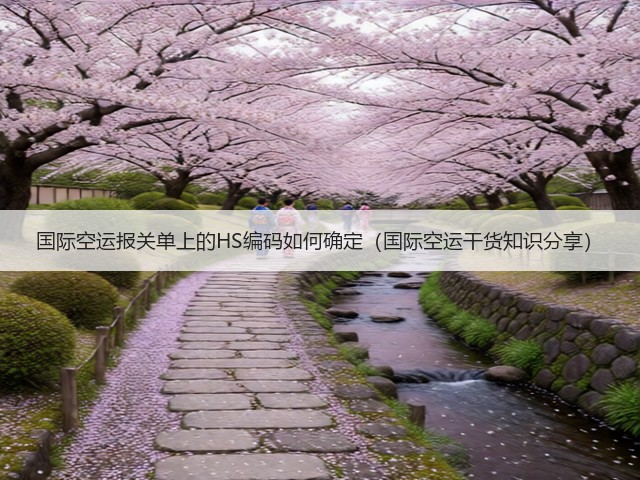 国际空运报关单上的HS编码如何确定（国际空运干货知识分享）(图2)