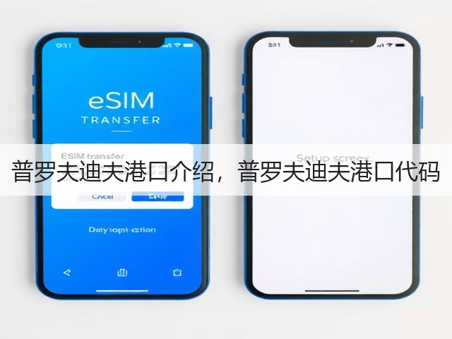 普罗夫迪夫港口介绍，普罗夫迪夫港口代码(图1)