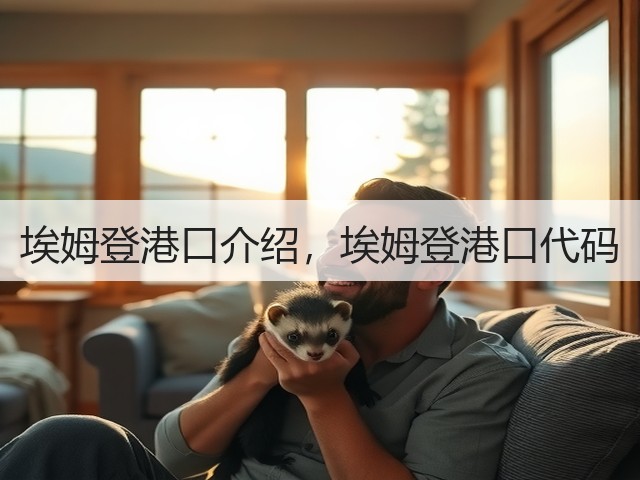 埃姆登港口介绍，埃姆登港口代码(图2)