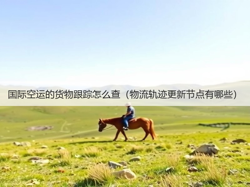 国际空运的货物跟踪怎么查（物流轨迹更新节点有哪些）
