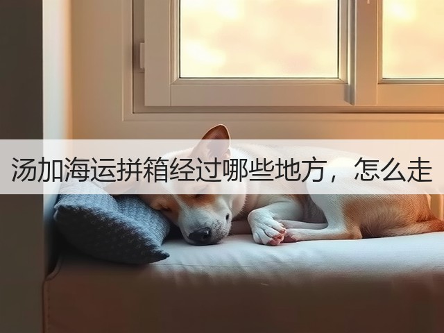 汤加海运拼箱经过哪些地方，怎么走(图2)