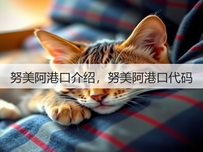 努美阿港口介绍,努美阿港口代码 努美阿港口介绍,努美阿港口代码