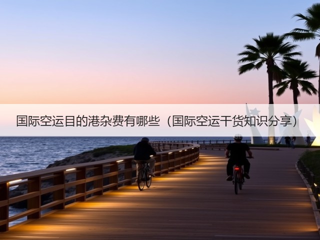 国际空运目的港杂费有哪些（国际空运干货知识分享）(图3)
