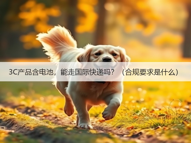 3C产品含电池,能走国际快递吗?(合规要求是什么)(图2) 3C产品含电池,能走国际快递吗?(合规要求是什么)(图2)