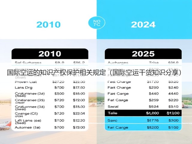 国际空运的知识产权保护相关规定（国际空运干货知识分享）(图1)