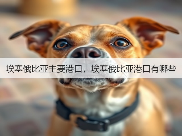 埃塞俄比亚主要港口，埃塞俄比亚港口有哪些(图1)