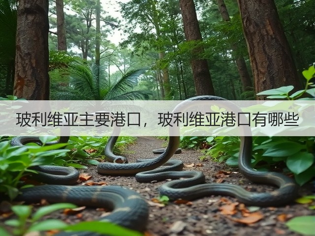 玻利维亚主要港口，玻利维亚港口有哪些(图3)