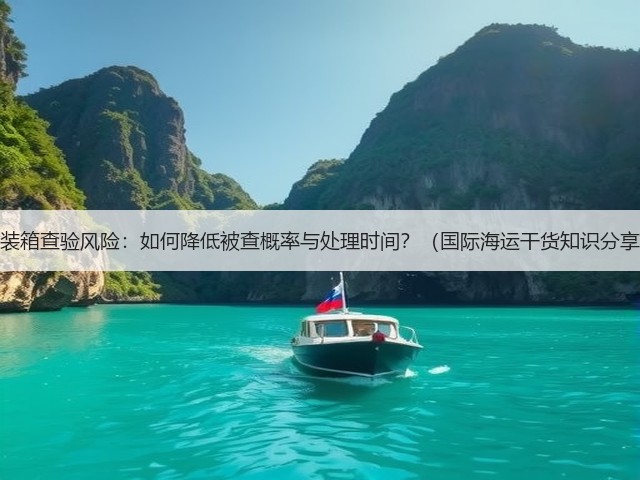 集装箱查验风险：如何降低被查概率与处理时间？（国际海运干货知识分享）(图1)
