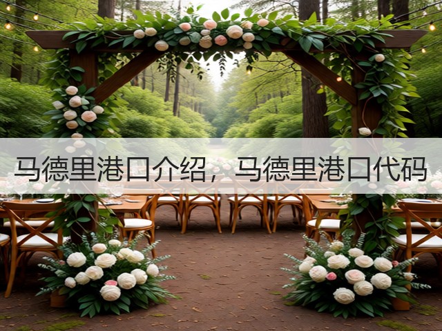 马德里港口介绍，马德里港口代码(图2)