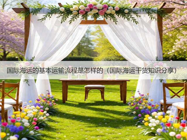 国际海运的基本运输流程是怎样的（国际海运干货知识分享）(图1)