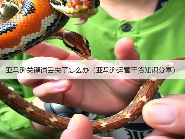 亚马逊关键词丢失了怎么办（亚马逊运营干货知识分享）(图3)