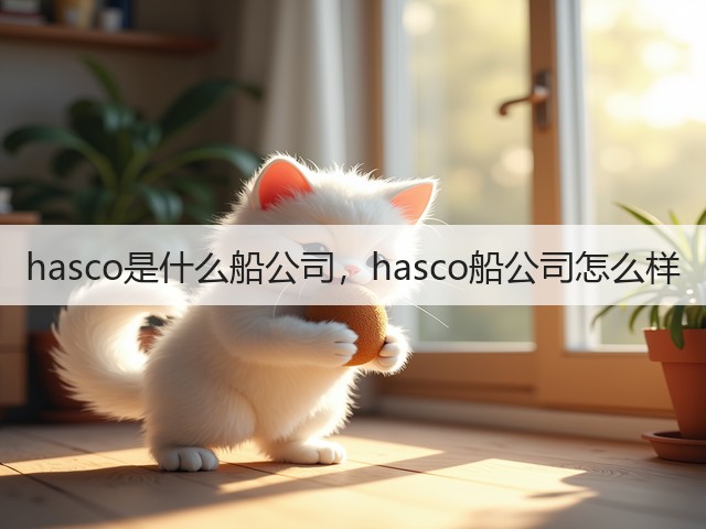 hasco是什么船公司，hasco船公司怎么样(图2)