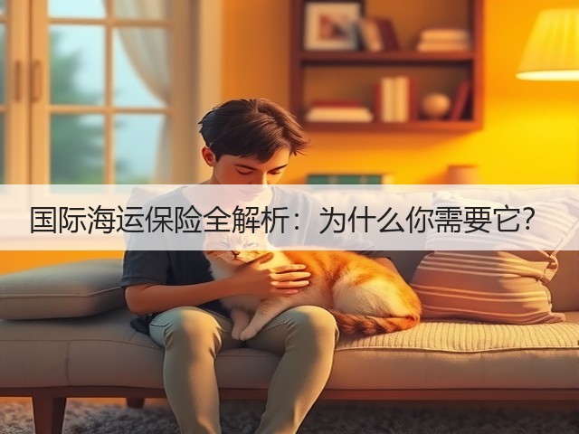 国际海运保险全解析：为什么你需要它？(图3)