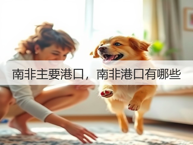 南非主要港口，南非港口有哪些(图2)