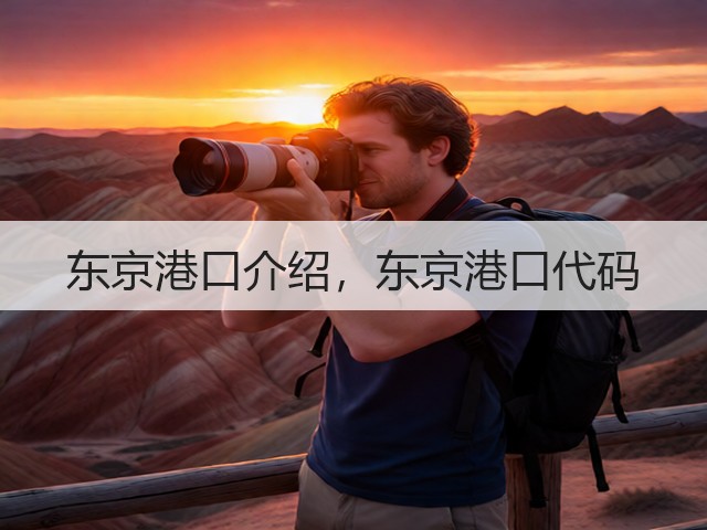 东京港口介绍，东京港口代码(图1)