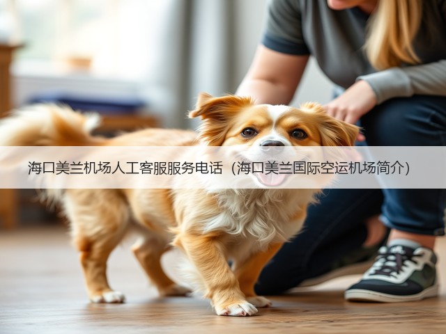 海口美兰机场人工客服服务电话（海口美兰国际空运机场简介）(图1)
