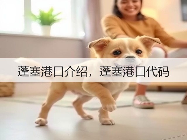 蓬塞港口介绍,蓬塞港口代码(图1) 蓬塞港口介绍,蓬塞港口代码(图1)