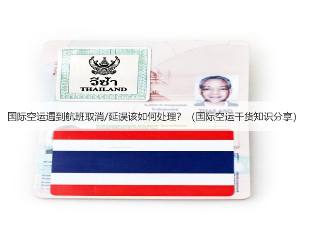 国际空运遇到航班取消/延误该如何处理？（国际空运干货知识分享）(图3)