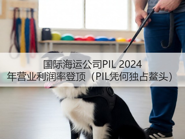 国际海运公司PIL 2024 年营业利润率登顶（PIL凭何独占鳌头）(图3)